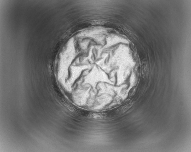 X0000074220655200609222008