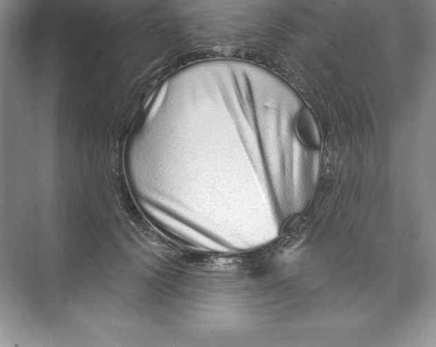X0000074220656200609222008
