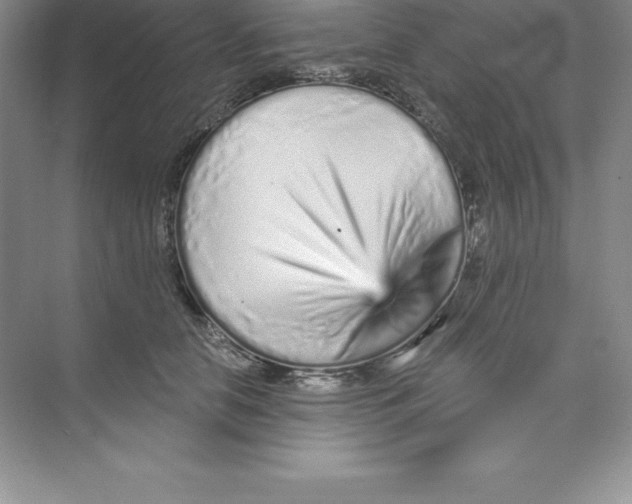 X0000074220658200609222008
