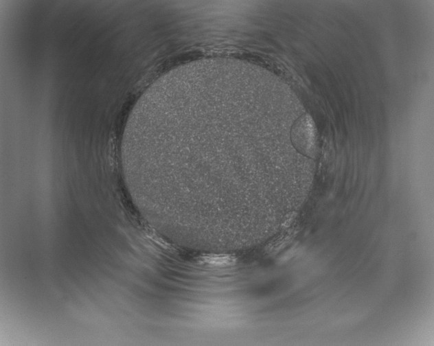 X0000074220659200609222008