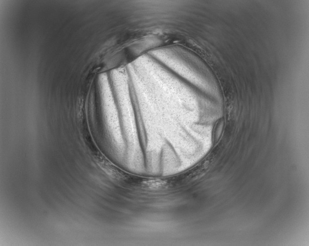 X0000074220660200609222009