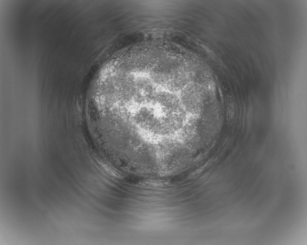 X0000074220661200609222009