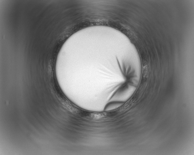 X0000074220662200609222009