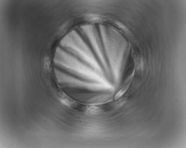 X0000074220669200609222009