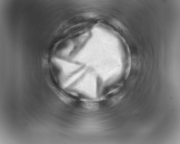 X0000074220670200609222009