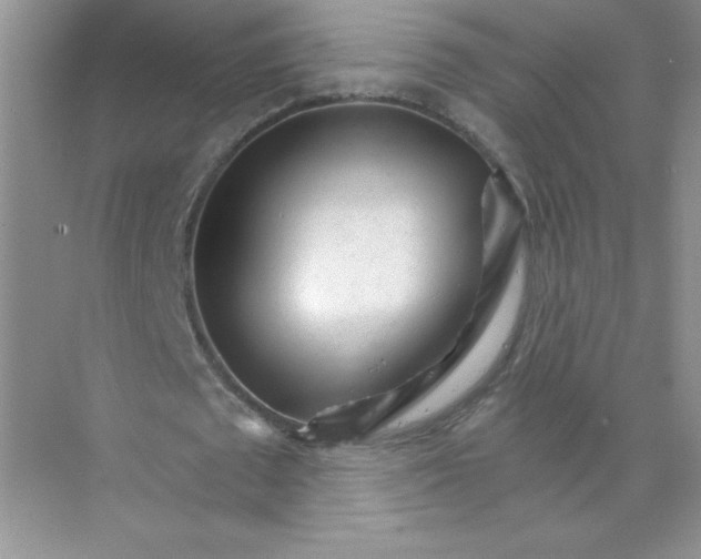 X0000074220673200609222008