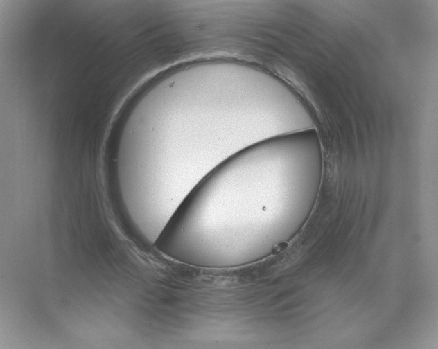 X0000074220676200609222008