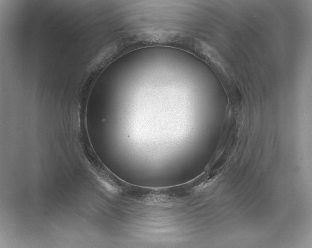X0000074220685200609222008