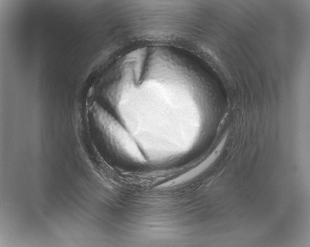 X0000074220688200609222008