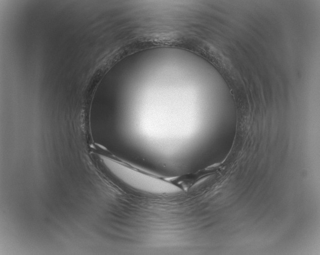 X0000074220689200609222008