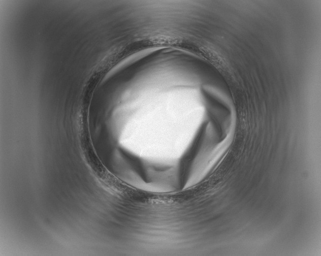 X0000074220690200609222008