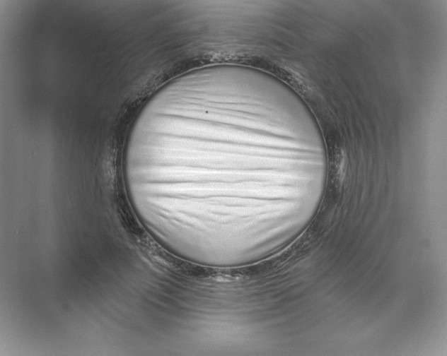 X0000074220691200609222008