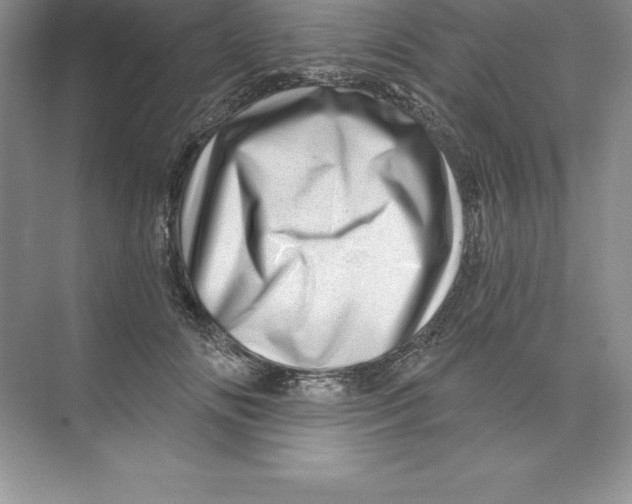 X0000074220702200609222007