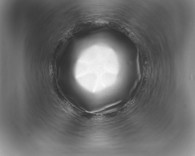 X0000074220704200609222007