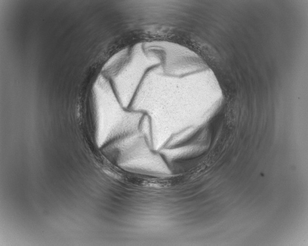 X0000074220706200609222007