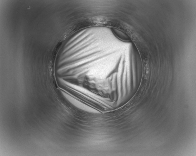 X0000074220707200609222007