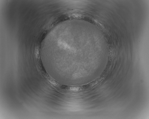 X0000074220709200609222007