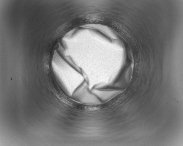 X0000074220710200609222007