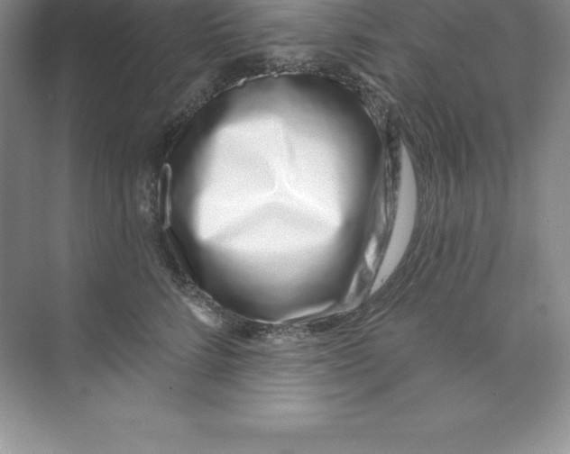 X0000074220712200609222007