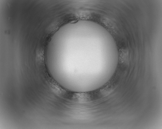 X0000074220713200609222007