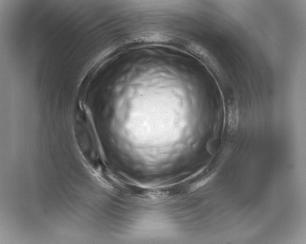 X0000074220725200609222006