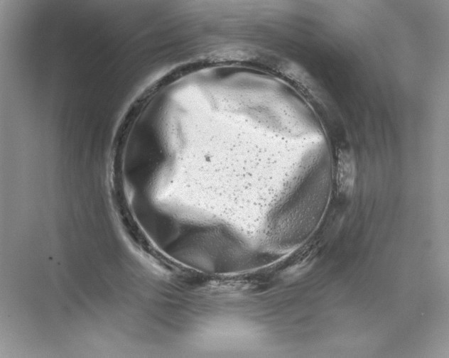 X0000074220726200609222006