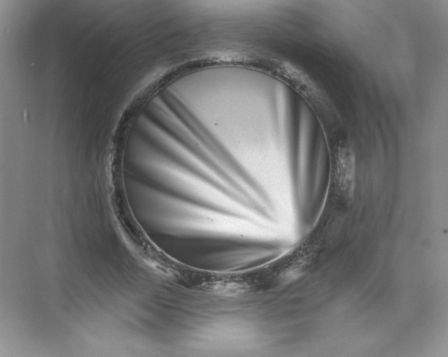 X0000074220730200609222006