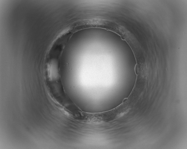 X0000074220731200609222006