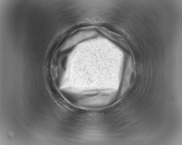 X0000074220736200609222007