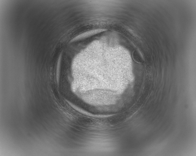 X0000074220737200609222007