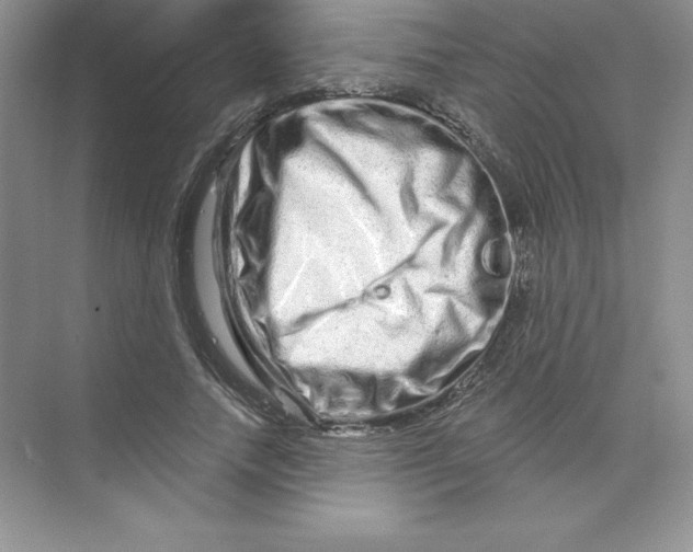 X0000074220738200609222007
