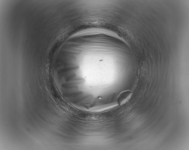 X0000074220739200609222007