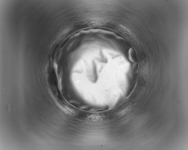 X0000074220742200609222007