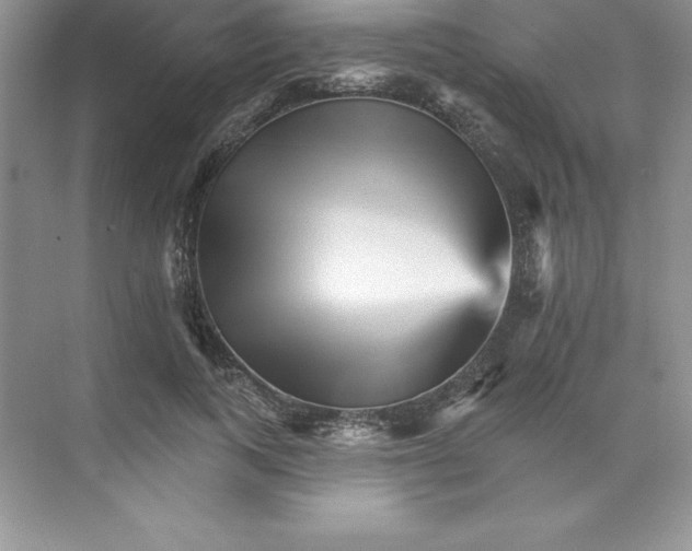 X0000074220743200609222007