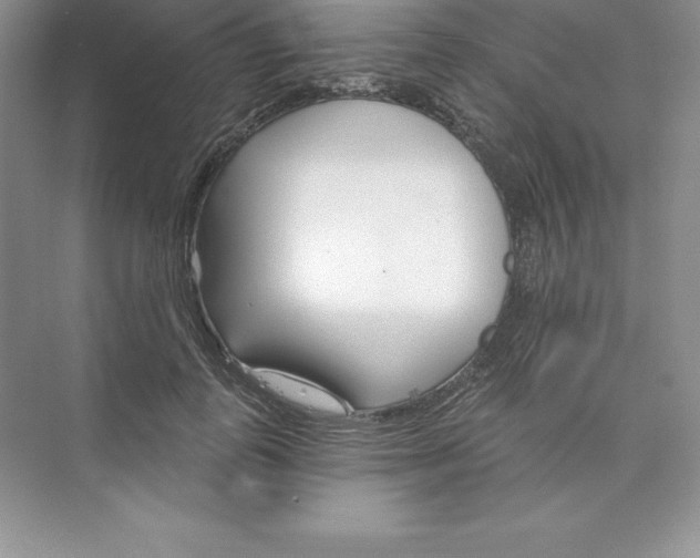 X0000074220747200609222007