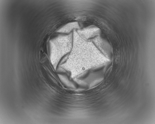 X0000074220748200609222007