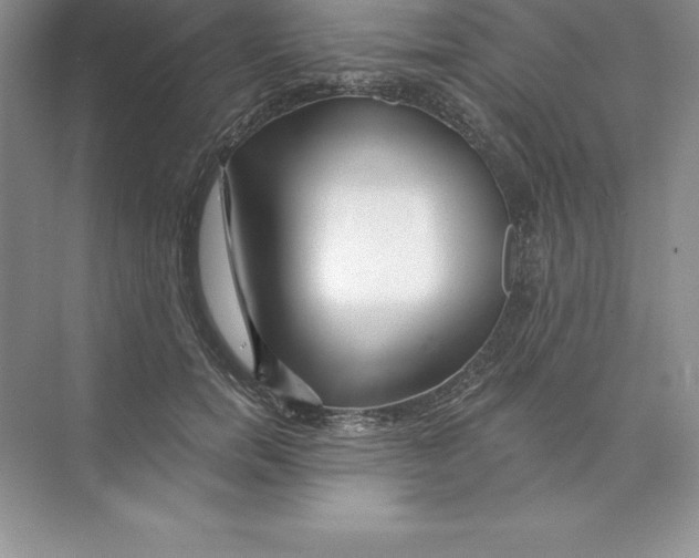 X0000074220750200609222007