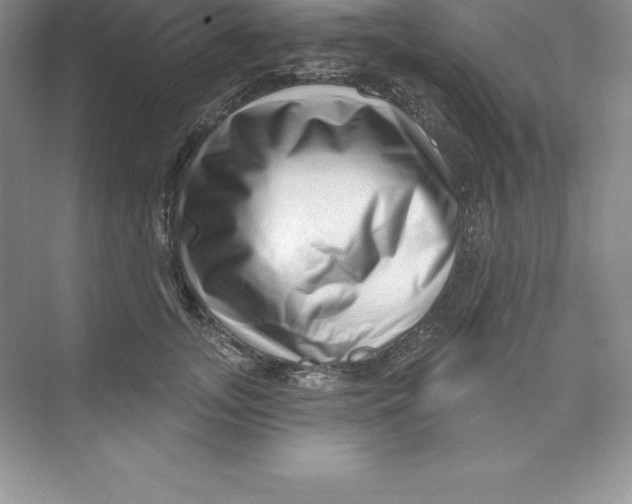 X0000074220755200609222007