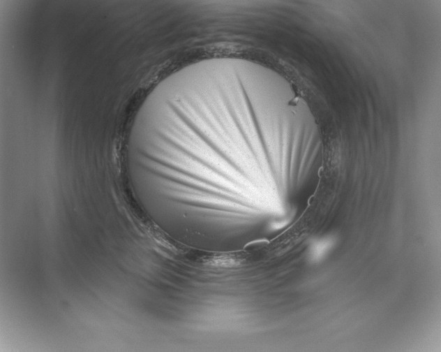 X0000074220759200609222007