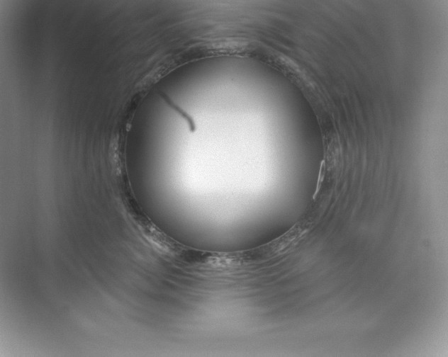 X0000074220764200609222007