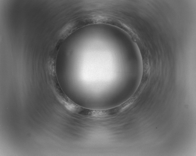 X0000074220766200609222007
