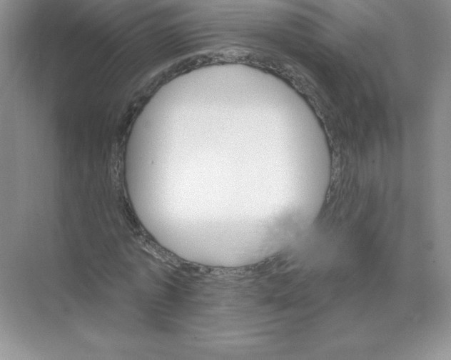 X0000074220773200609222006