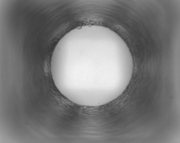 X0000074220774200609222006