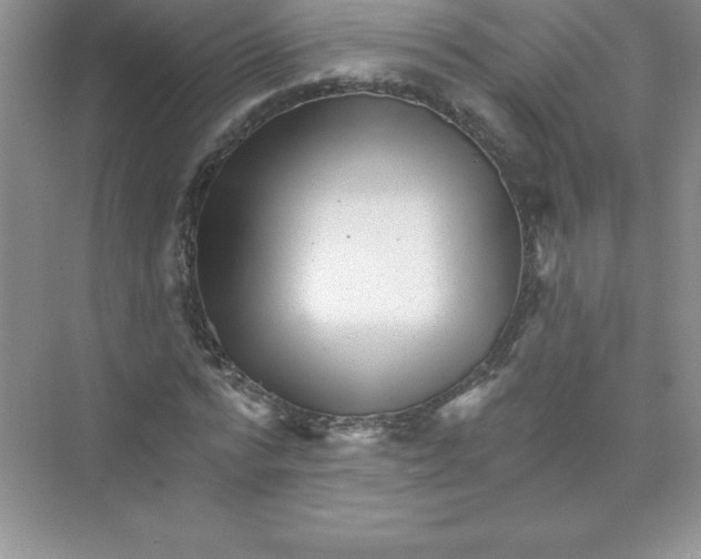 X0000074220776200609222006
