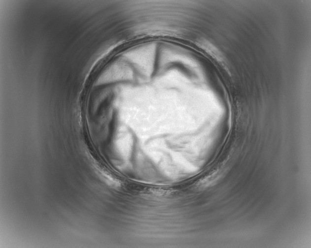 X0000074220782200609222006