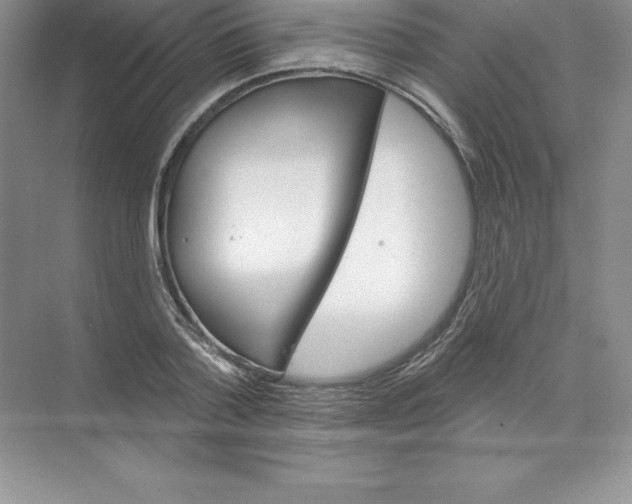 X0000074220788200609222006