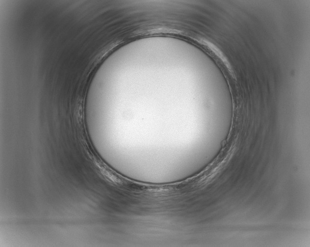 X0000074220793200609222006