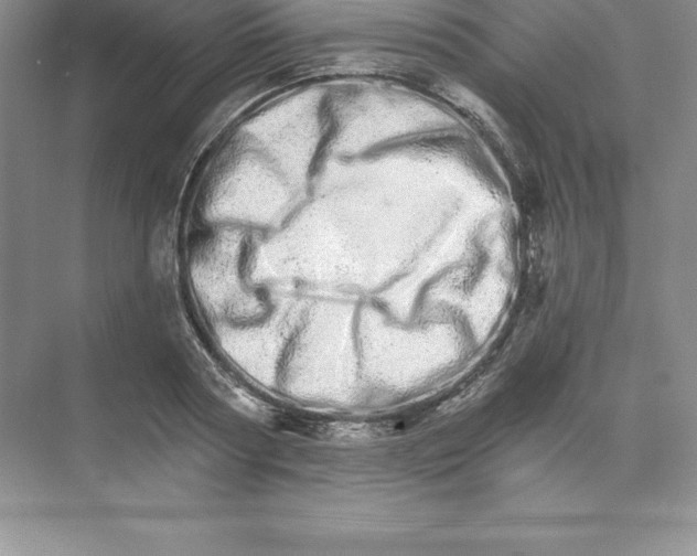 X0000074220794200609222006