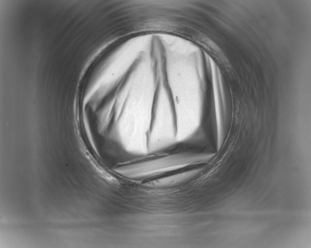 X0000074220796200609222006