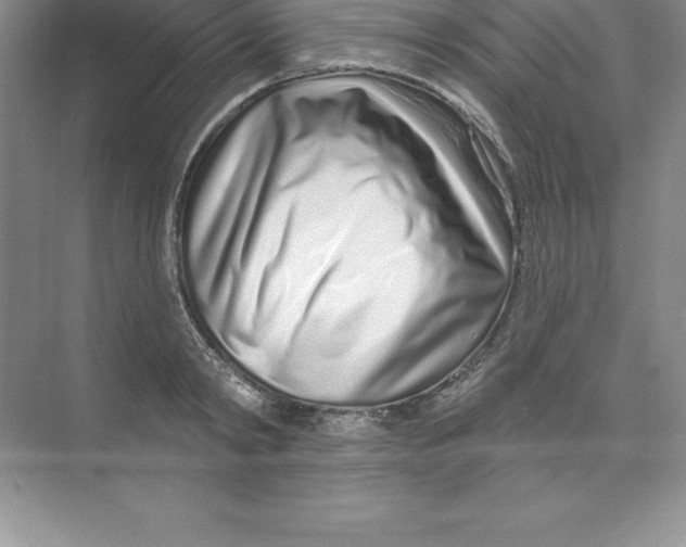 X0000074220798200609222006